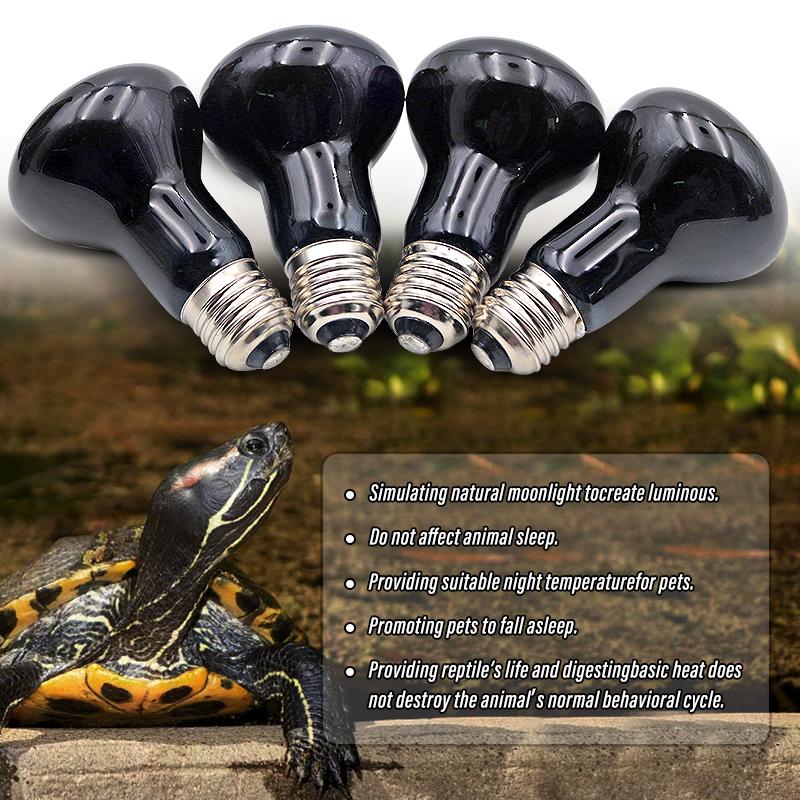 Heizlampe für Haustiere Reptil Schlange Wärme Nachtlicht Amphibie Schlangenlampe Wärme Reptilienbirne UV-Licht AC220-240V