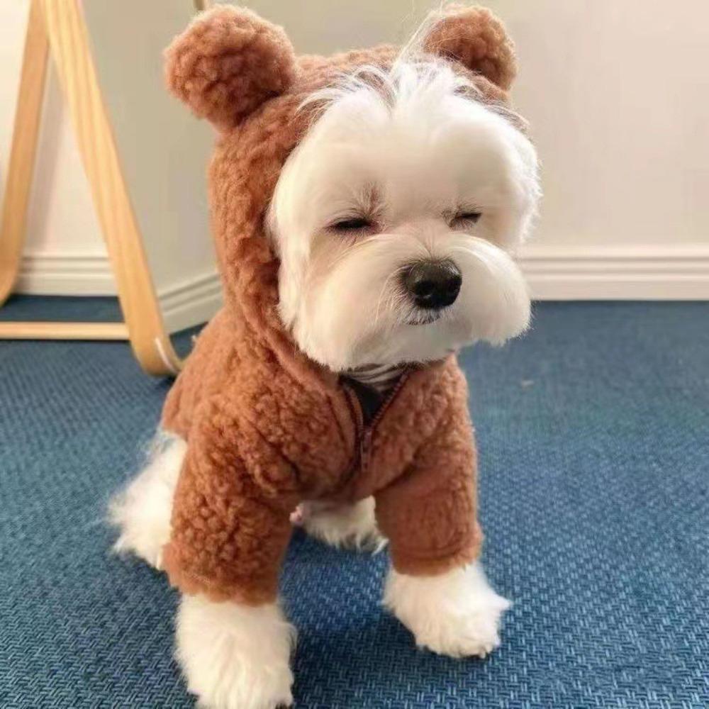Cartoon Bear Pattern Plush Dog Hoodie Zipper Pet Clothes New Cats Coat Jackets for Large Small Pet