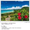 YANOMAN In Jigsaw Sea and Summer Ishigaki Island Includes Piece Request Service and Jigsaw Puzzle Instruction Manual [Made Japan] 500-piece Puzzle,