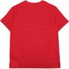 Polo Ralph Lauren Kids Bear Graphic Crew Neck Short Sleeve T-Shirt Kids T-Shirts Red 323853828-037