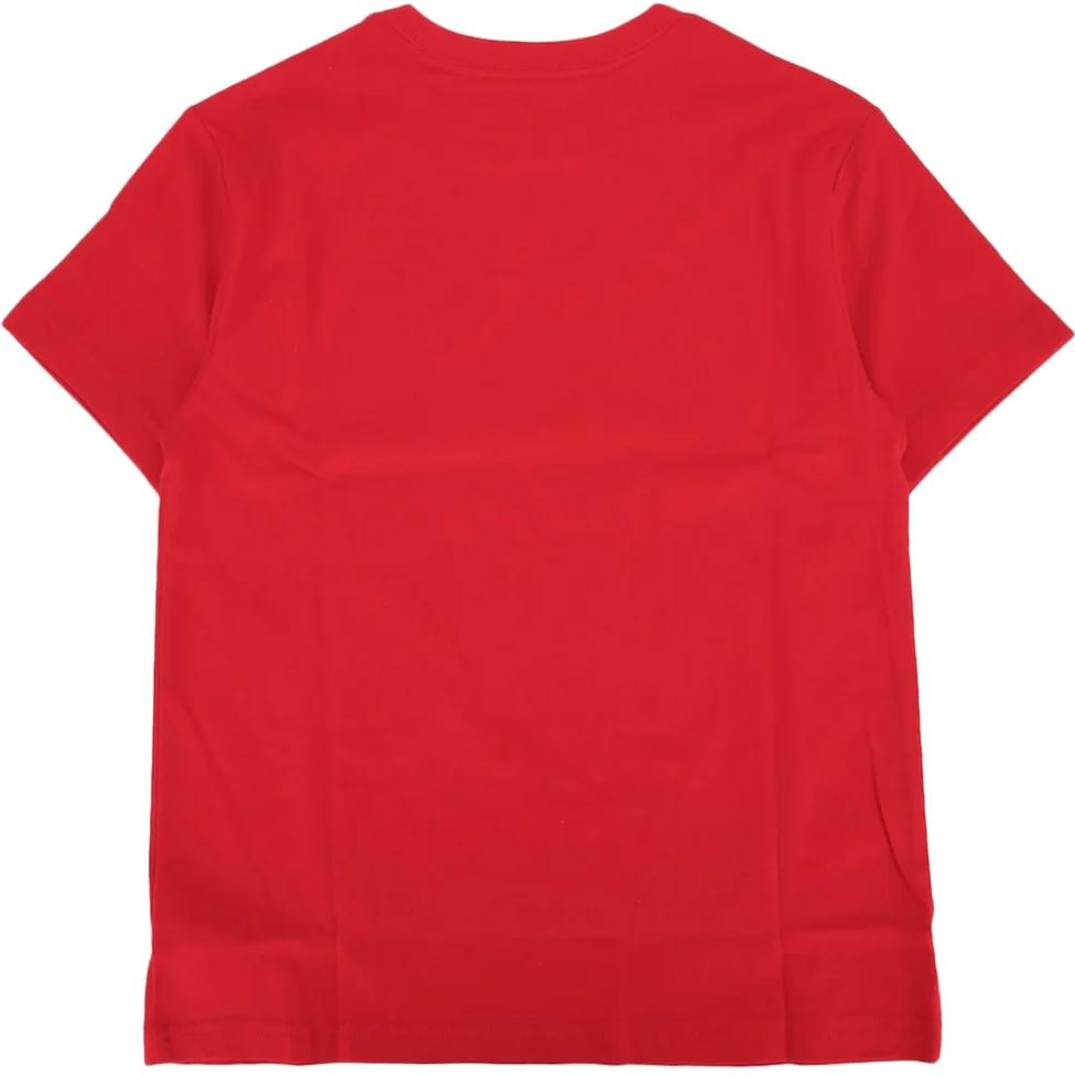 Polo Ralph Lauren Kids Bear Graphic Crew Neck Short Sleeve T-Shirt Kids T-Shirts Red 323853828-037