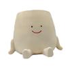 Adorable Smiling Face Plant Pot for Home and Garden Decor