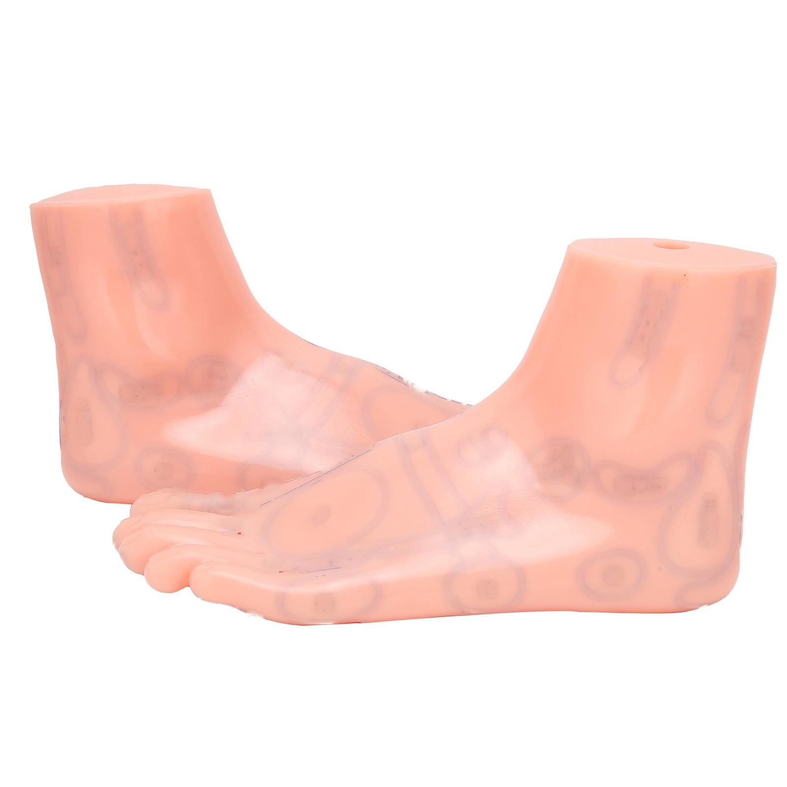 

1 пара человеческих стоп акупунктурных точек модель рефлексотерапии стоп акупунктурные точки массажа модель