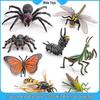 Tropical Rainforest Insect Models: Spider, Wasp, Mantis, Grasshopper