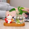 Zhaocai Cat Hydroponic Creative Vase Utensils Vase Living Room Office Desktop Decoration Zhaocai Cat Green Rose Hydroponic