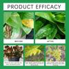 Plant Root Nutrients: Supplementing Plant With Nutrients For Daily Care And Promoting Natural Growth50ml