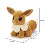 Pokemon Exhausted! Plush M Eevee Height Approx. 24cm