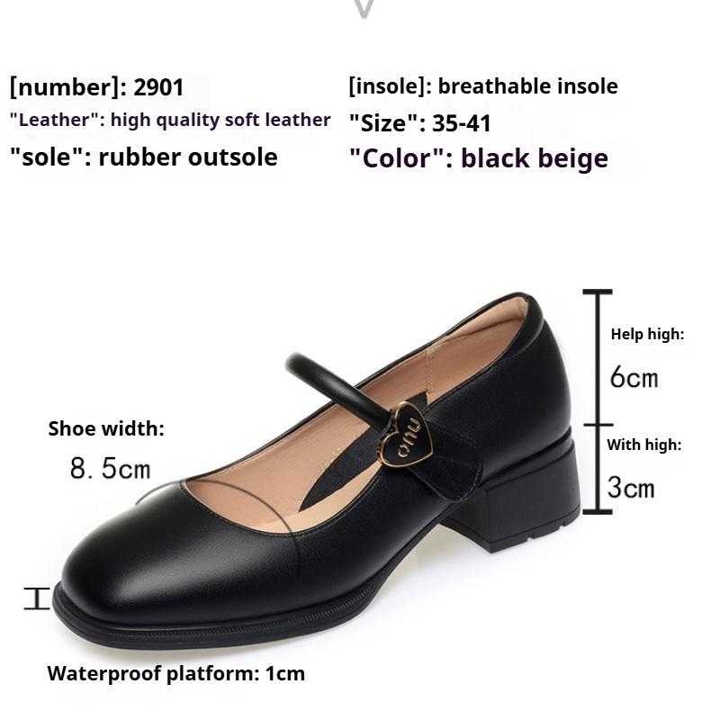 Schuhe mit klobigem Absatz für Damen, Lederschuhe für Frühling und Herbst, modische und leichte Damenschuhe, flache Öffnung, vielseitige Mary-Jane-Schuhe