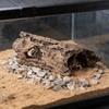 Caverna Esconderijo para Répteis Abrigo de Casca Natural para Tartaruga Lagarto Gecko Escorpião Aranha Anfíbio Decoração de Terrário Habitat Escalada