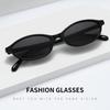 Chic Cat Eye Oval Sunglasses Lightweight Trendy 90s Sunnies UV protection Sun Glasses for Women & Men