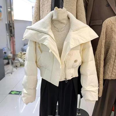 Manteau Tricot Col Zippé Coréen Automne Hiver Femmes Épais Street Veste Puffer Ample Parka Chaud Rembourré Coton Court Vêtement d'Extérieur