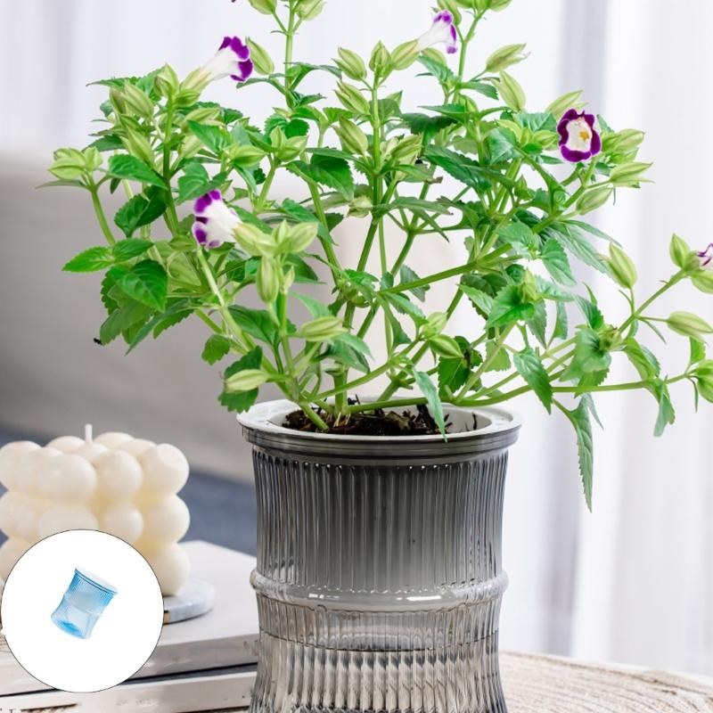Lightweight Automatic Hydrating Sustaining Plant Container Planter Flower Pot With Vibrant Color Option for Indoor Plant