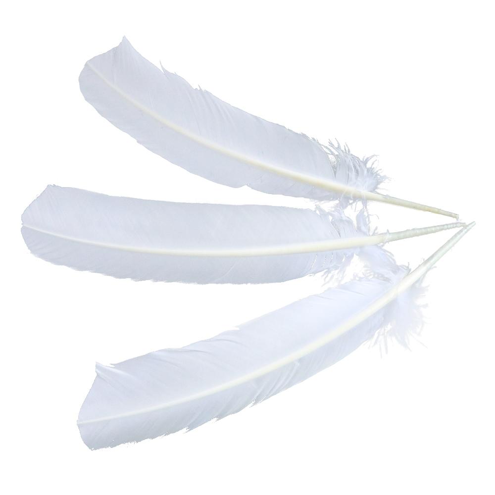 

Різнокольорові гусячі пір я, індичі пір я, велике пір я для рукоділля, виготовлення прикрас, костюмів 25-35 см Декоративне пір я 20 pcs білий