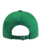 GRAVER [Unisex] Daisy Bouquet Bear Embroidered Ball Cap_Green