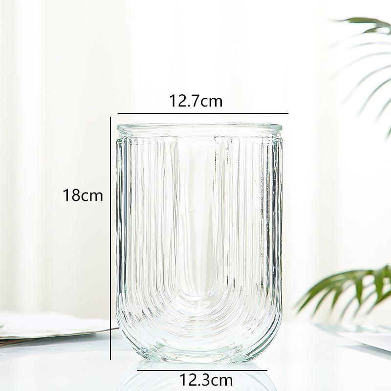 Nordic Cone-Shaped Transparent Glass Vase for Lucky Bamboo and Flowers
