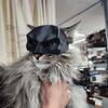 Katzenmaske Schwarze Fledermaus Halloween Cosplay Hut Katze Lustiges Spielzeug Coole Katzenmasken Fotos Requisiten Haustier Zubehör