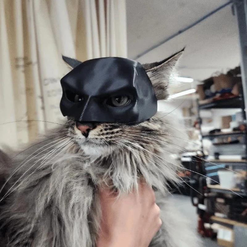 Katzenmaske Schwarze Fledermaus Halloween Cosplay Hut Katze Lustiges Spielzeug Coole Katzenmasken Fotos Requisiten Haustier Zubehör