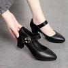 Women's Soft Sole Chunky Heel, Round Toe Leather Shoes - Spring/Autumn 2026, Single Buckle, Medium Heel