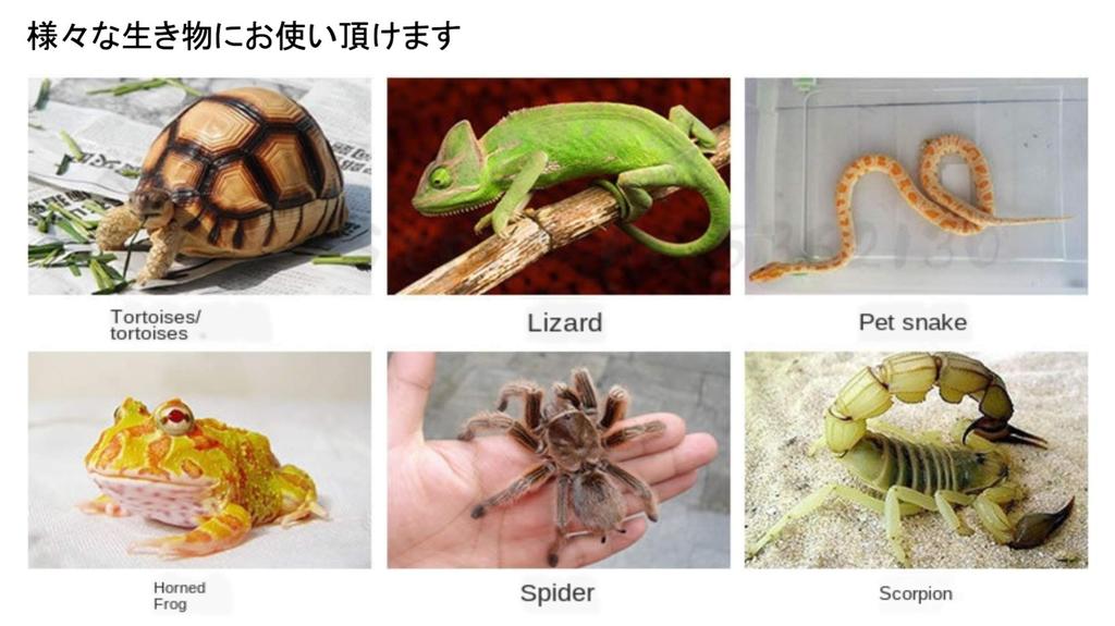 Heizi Schildkröten Schwimmende Insel Reptilien Unterschlupf Käfig Sonnenbad Versteck Aquarium Land Haltepunkt für Schildkröten, Landschildkröten und Leopardgeckos (Mittlere Größe)