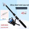 43cm Portable Mini Telescopic Lure Fishing Rod Set for Beginners
