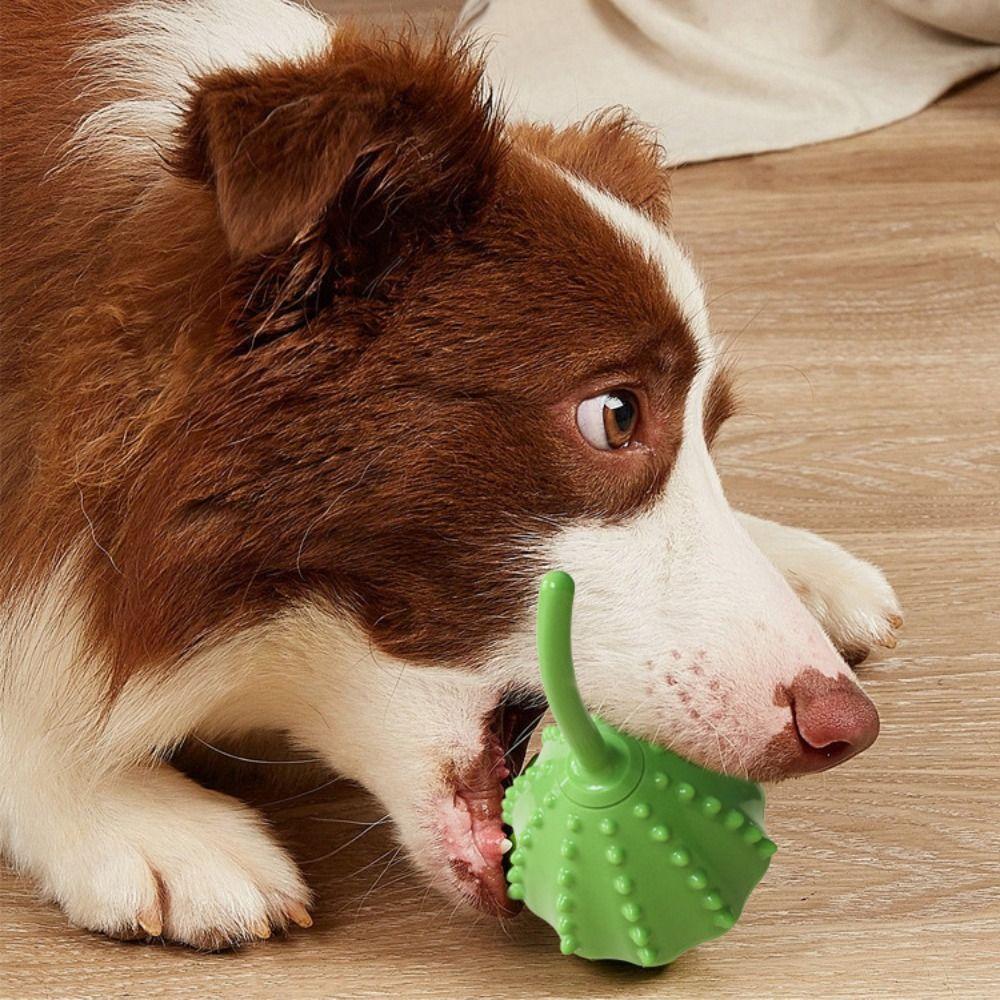 Lotus Seedpod Pet Slow Feeder Ball Relieve Boredom Pet Food Dispenser Dog Chewing Toys  Puppy