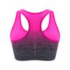 Sports Bra High Stretch Breathable Top Fitness Women Padded for Running Yoga Gym Seamless Crop Bra Gradient Sport Bra