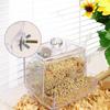 Rutin Chicken Automatic Food Feeder Large Capacity Anti-overturning Food Box Small Animal Feeding Supplies