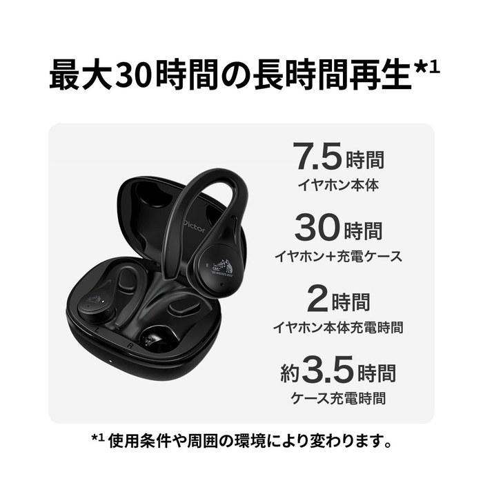JVC Victor HA-EC25T Truly Wireless Earbuds - Earhook Style - 6.9g/ear - 30hr Playtime - Waterproof - Bluetooth 5.1 - Sports - Black -