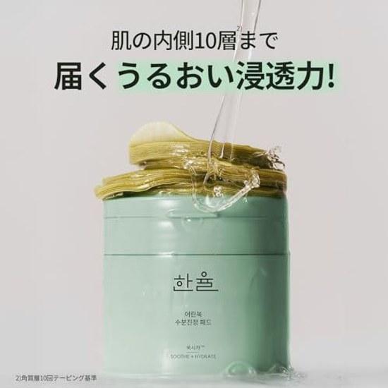 HANYUL Official Han Yul Sprout Mugwort Skin Care Pads 60 sheets CICA Moisturizing Sensitive Dry Korean Cosmetics Wiping Low Irritation Toner
