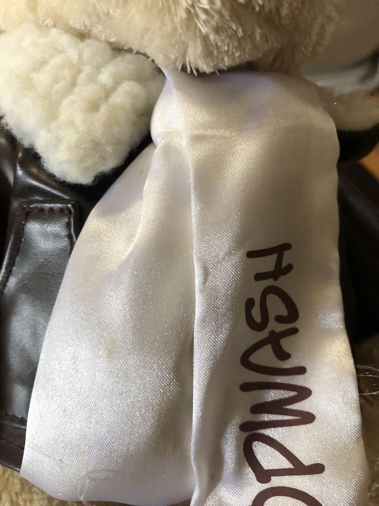 [USED] Pilot Teddy Bear