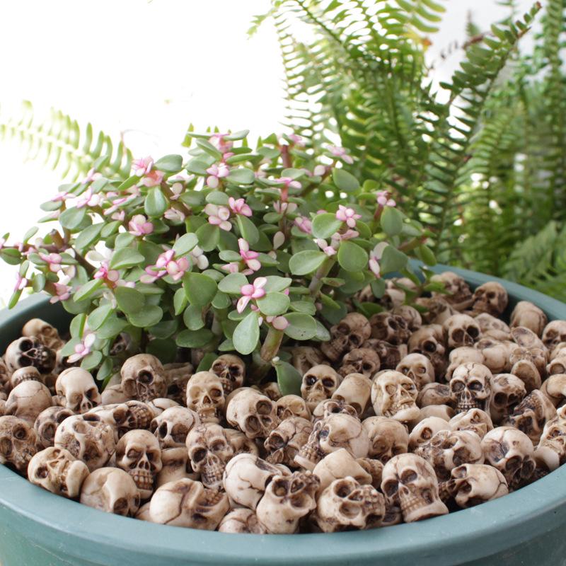 Skull Simulation Medium Set: Creative Flower Pot & Micro Landscape Paving Stone Ornaments.