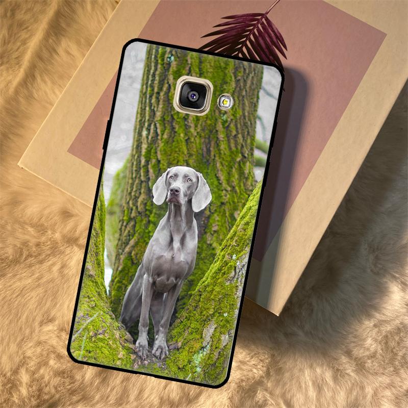 

Weimaraner Dog Case For Samsung Galaxy M21 M31 M16 M36 M56 M33 M53 M13 M12 M32 M52 M15 M55 M14 M35 M34 M54 Samsung M34 5G