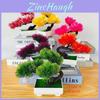 Traditionelle Kiefern-Bonsai-Pflanze mit Plastikblumen für die Heimdekoration und Grünpflanzen-Enthusiasten
