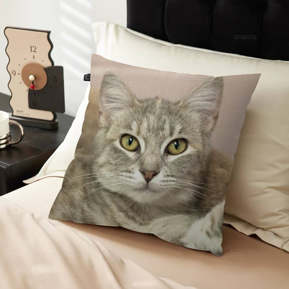 Süßes Haustier Katze Kissenbezug Design Kissenbezug Deko Feiertagsdeko
