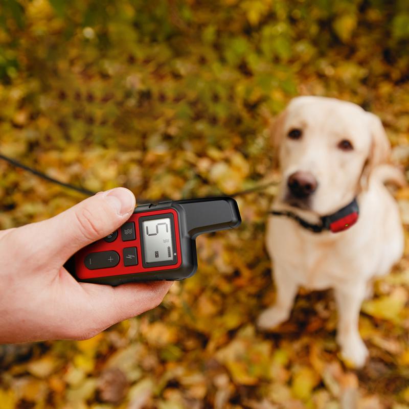 shock and vibrate collar