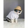 Pet Sunglasses + Anti-Slip Strap Set, Fashionable & Creative Pet Accessories, Multi-Color Universal Pet Glasses, Pet Holiday & Birthday Costume