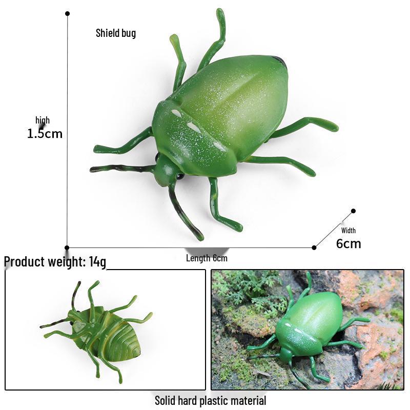 Children s Solid Arthropod Insect Model: Farting Shield Bug Decoration