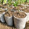 100Pcs/Set Non-woven Seedling Pots Biodegradable Eco-Friendly Fabric Seeds To Sow Nursery Plant Grow Bags For Home Garden Tools