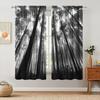 2 Panels Distinctive Metasequoia Art Picture Printed Curtains   Half Blackout Suitable for Artistic Home Decorative Curtains