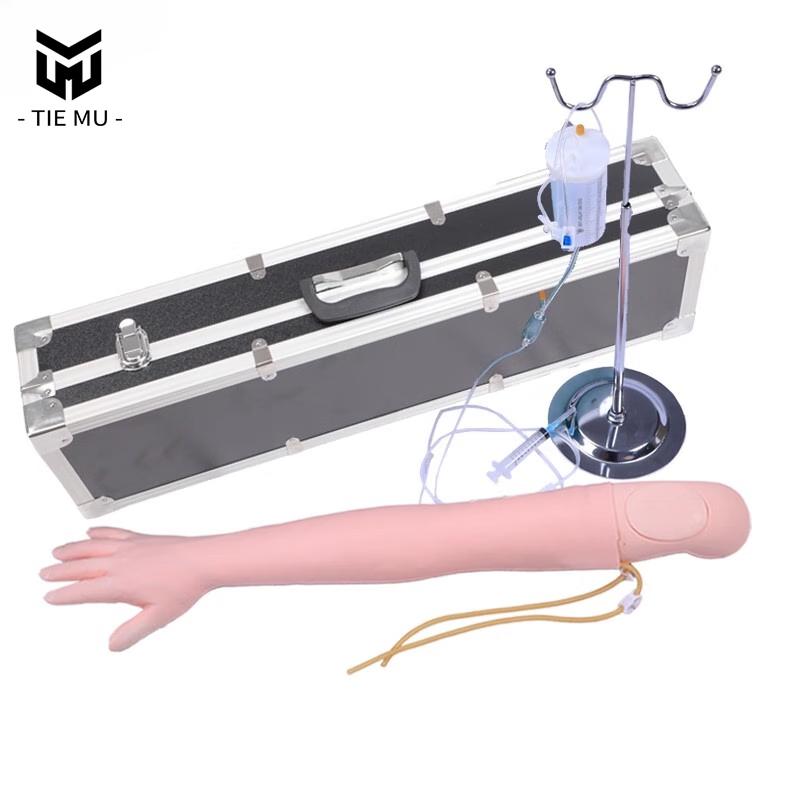 IV & IM Injection Training Model