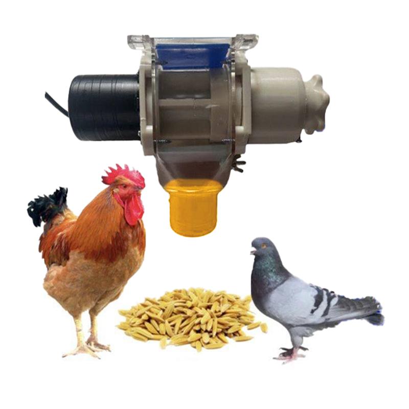 Pigeon Supplies Portable Chicken Feeder 3L Poultry Feeder With Sturdy Base For Farmyard Ducks