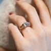 2024 Zodiac Horse Diamond-Inlaid Ring: Fine Brushed, Retro Luxury, Unique Design