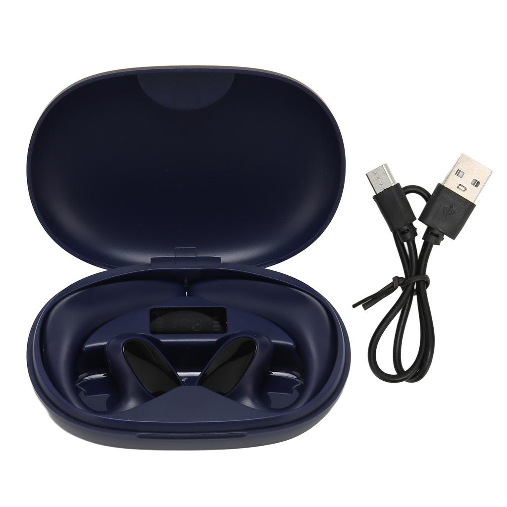 Wireless Translator Headphones Music Function Ear Hook Type Online Translation Earphones 144 Languages for Business for IOS