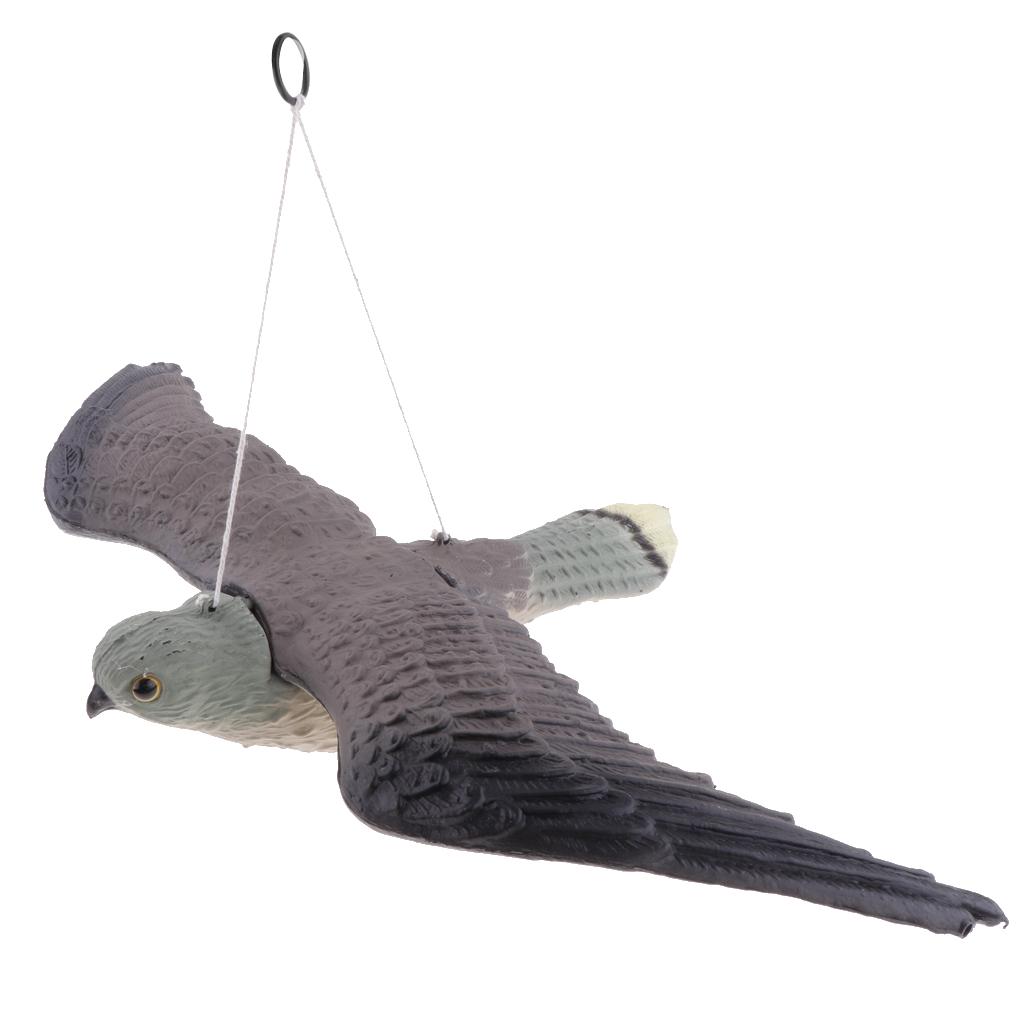Buy Realistic Flying Bird Hawk Decoy Pigeon Crow Scarecrow Garden