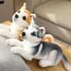 Realistic Appearance Simulation Dog Plush Toy Husky Puppy Doll Cute Stuffed Animal Toy  Home Decor