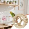 Parrot Perch Wooden Intelligence Enrichment Exercise Wheel Cockatiel Toys For Parakeet Cockatiel Conure Canary Lovebird African