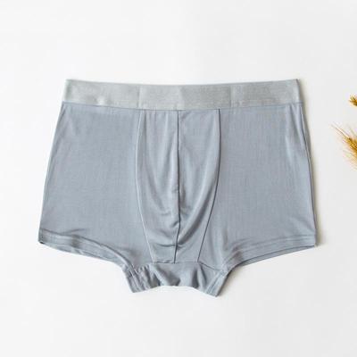 Herren Einfarbig Seide Nahtlos Sport Boxer Briefs - Atmungsaktive Maulbeerseide, Elastische Passform, Dünner Sommerstil