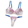 Lingerie da donna Dolce Set di Lingerie Ricamato Floreale Reggiseno Push Up con Ferretto Set di Slip Lingerie Elegante in Rete Morbida Intima