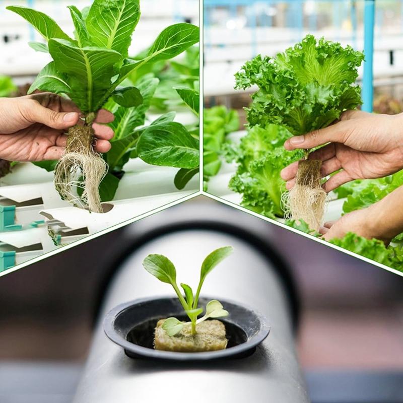 Rock Wool Cubes for Hydroponics Rock Wool Planting Cubes Plant Germination Grow Cubes Starter Hydroponic Grow