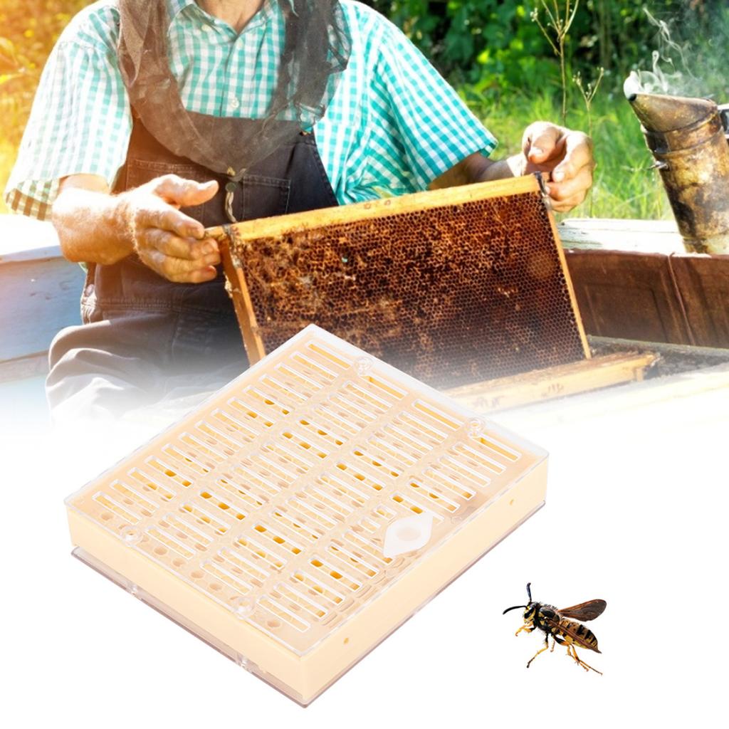 Beekeeping Rearing Cell Cup Kit Bee Queen Protective Cage Beekeeper Equipment Tools